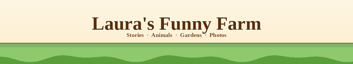 Laura's Funny Farm